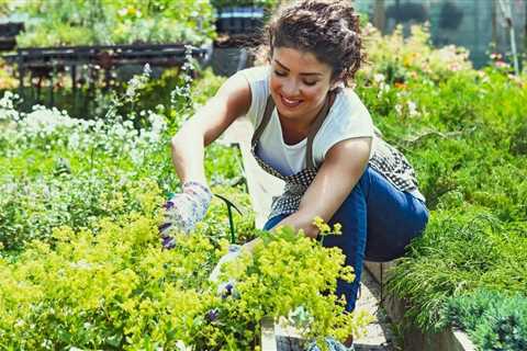 Patio Gardening and Balcony Vegetable Gardening