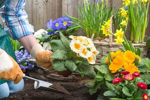 Top Lawn Care Tips For a Beautiful Garden