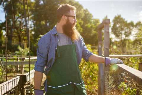 November Gardening Tips - Top 5 Gardening Jobs to Do in November