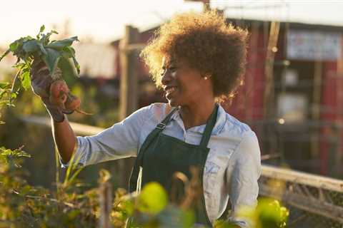 Easy Weeding Tips - The Best Way to Pull Weeds Fast