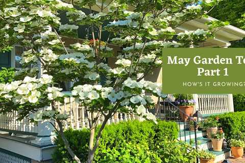 May Gardening Jobs For May - Gardeners World Jobs For the Weekend