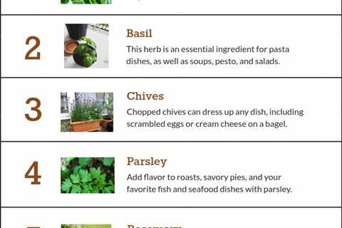 How to Harvest Herbs - How to Pinch Herbs Without Killing the Plant