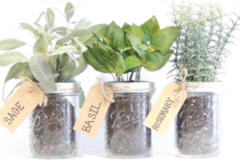 DIY Herb Garden - Growing Herbs in Mason Jars