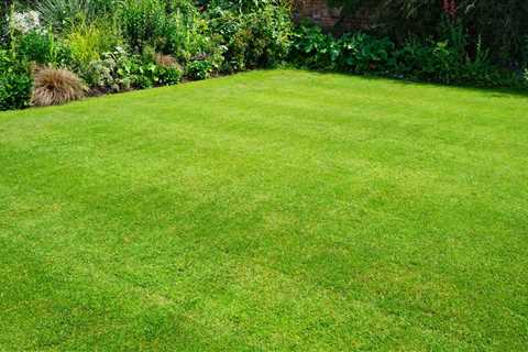 Top Lawn Care Tips For Fall