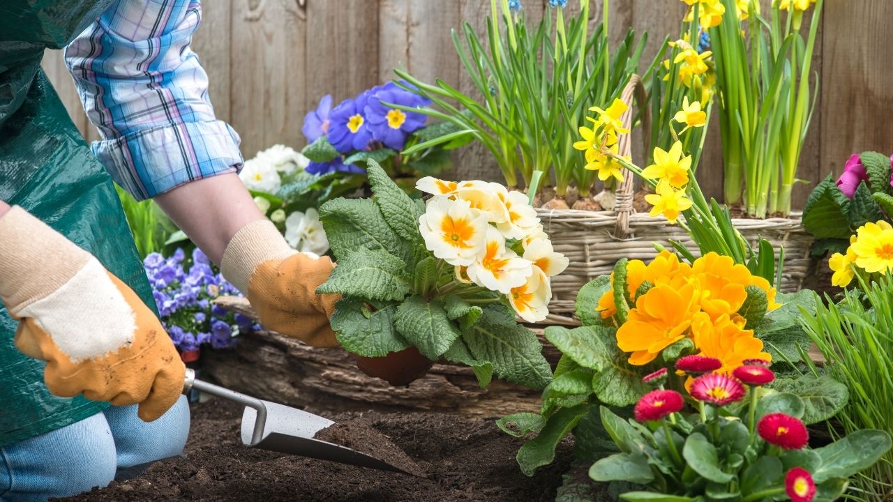 Kids Gardening Tips For Children