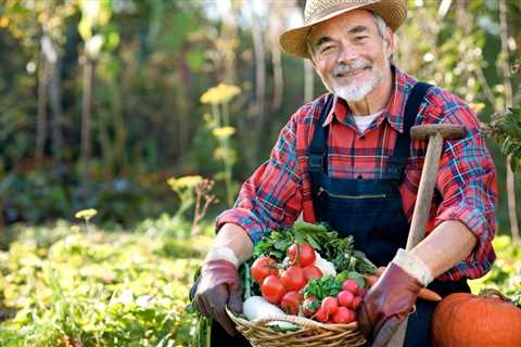 Growing Vegetables For Beginners Guide