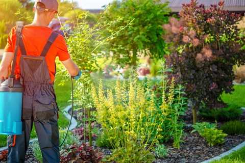 Designing a Raised Bed Vegetable Garden Layout