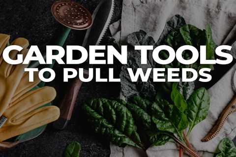 Our most used garden tools to pull weeds
