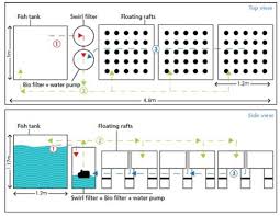 How Deep Should An Aquaponics Grow Bed Be?