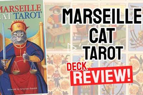 Marseille Cat Tarot Review (All 78 Marseille Cat Tarot Cards REVEALED!)