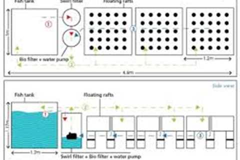 How Deep Should An Aquaponics Grow Bed Be?