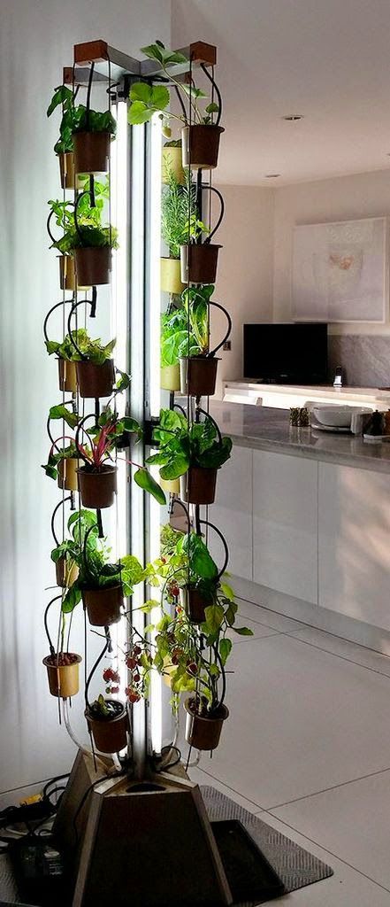 Hydroponic Garden For Apartment
