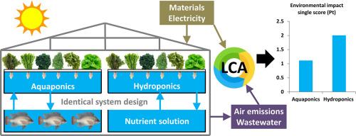 Is Aquaponics the Future of Sustainable Farming?