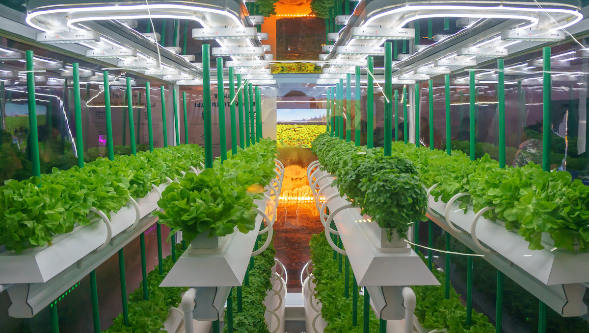 Is Hydroponics Illegal in Your State?