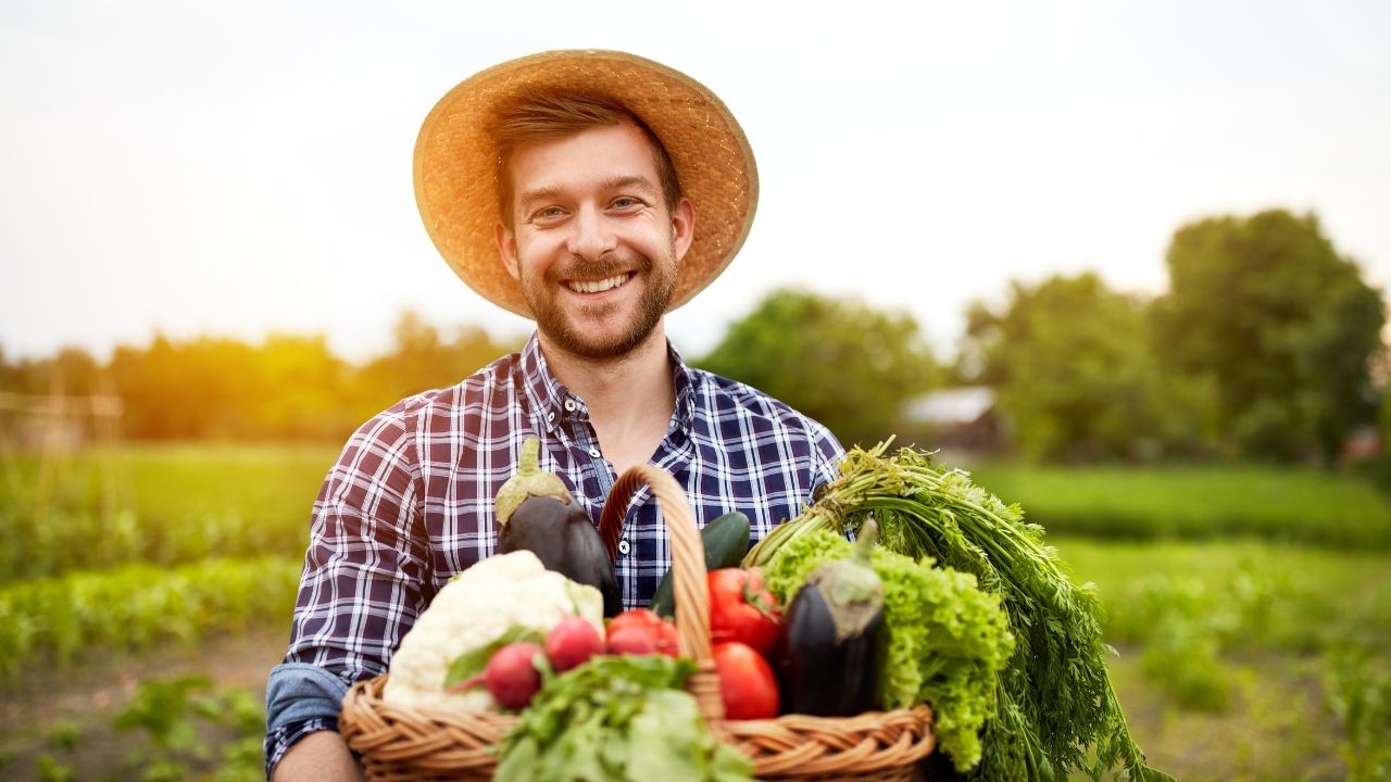 Is Miracle-Gro a Fertilizer?