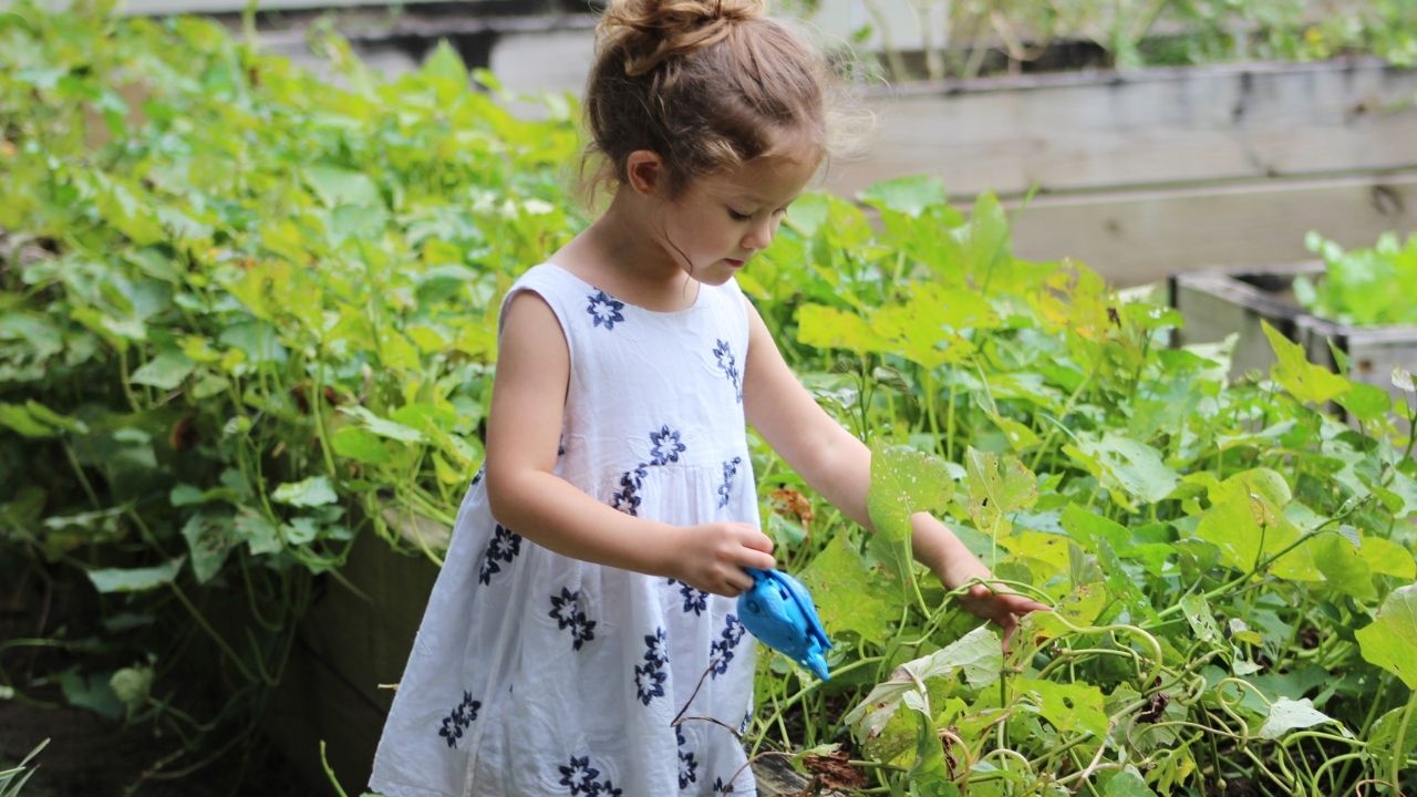 Gardening in Bags - How to Grow Vegetables in Bags of Soil