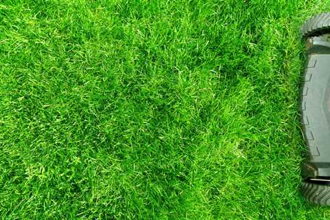 Mowing Tips for Healthy Turf