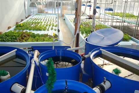 Source Water For Aquaponics - How Much Water Do You Need?