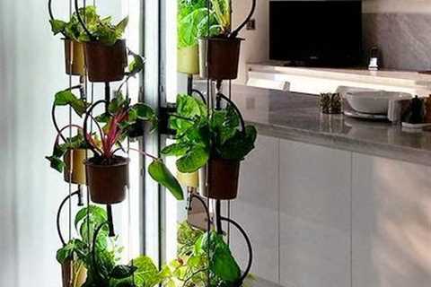 Hydroponic Garden For Apartment