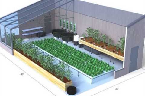 How to Set Up Aquaponics As a Hobby