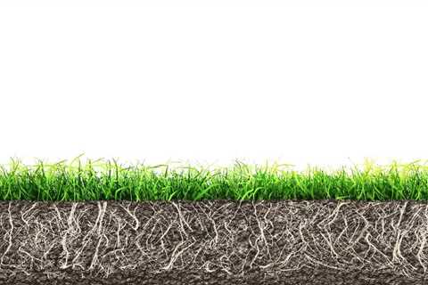 The Importance of Soil Treatment Prior to Seeding Your Lawn