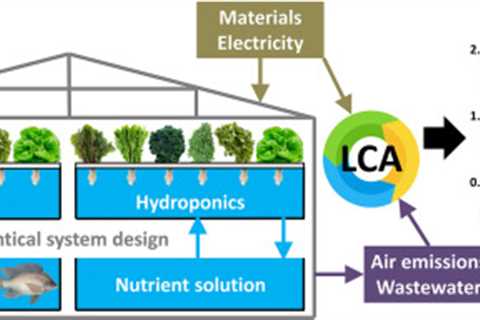 Is Aquaponics the Future of Sustainable Farming?