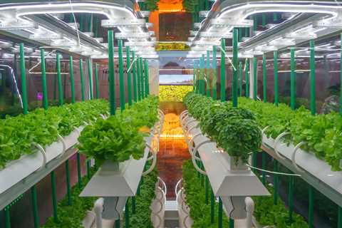 Is Hydroponics Illegal in Your State?