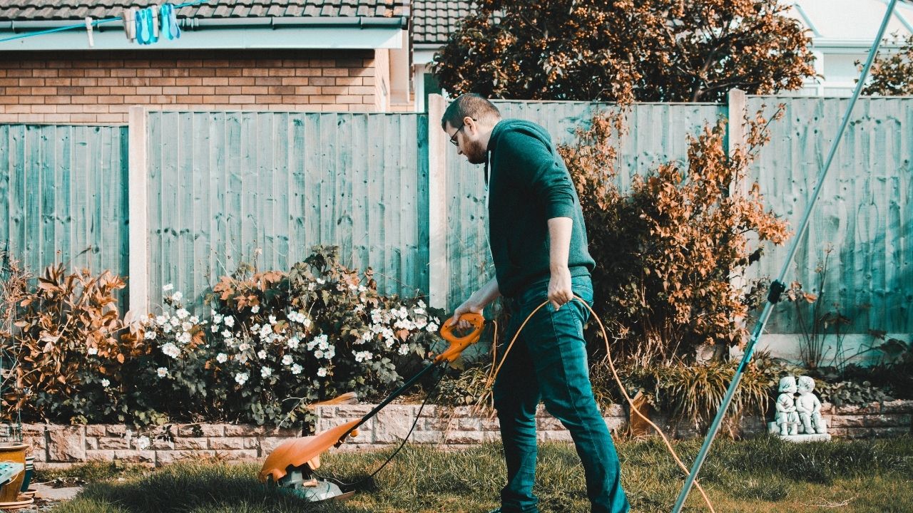Top Lawn Care Tips For 2019