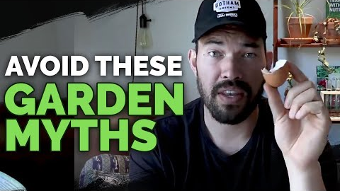 4 Garden Myths To Avoid Right Now