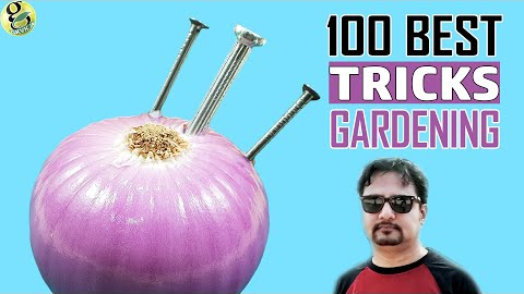 100 Best GARDENING IDEAS & HACKS by Garden Tips - Beginners to Experts