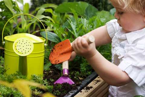 Tips For Growing Tomatoes At Home From Seed