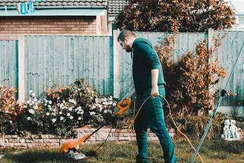 Top Lawn Care Tips For 2019