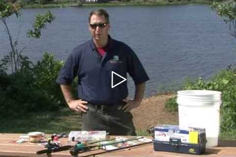 Fishing Basics: How to Get Started