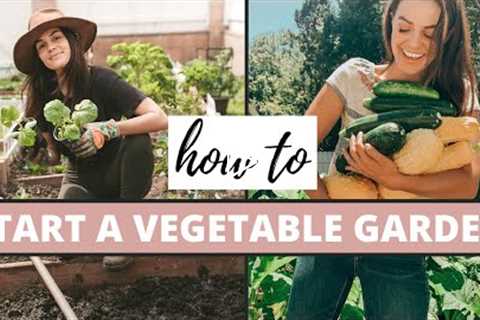 How To Start A Vegetable Garden | Gardening Tips