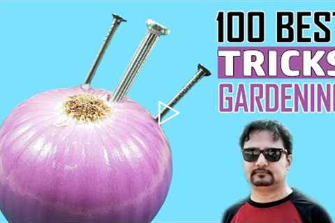 100 Best GARDENING IDEAS & HACKS by Garden Tips - Beginners to Experts