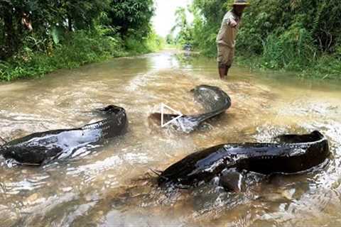 unigue fishing ! Catch fish in the flowing water on the village road, catch a lot of fish