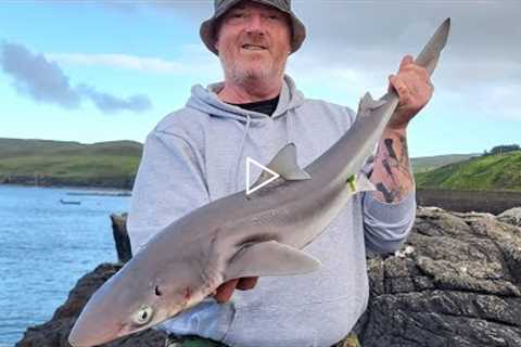 Five Guys Fishing on Skye big Spurdogs and Pollack