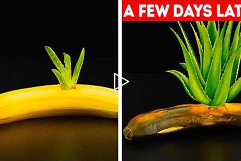 27 GARDENING HACKS YOU'LL WANT TO KNOW