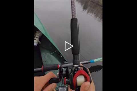 How to Fish (with No Experience)