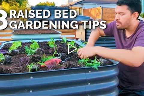 8 Of My BEST Raised Bed Gardening Tips