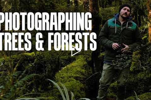 How to Photograph Trees & Forests - Landscape Photography Tips