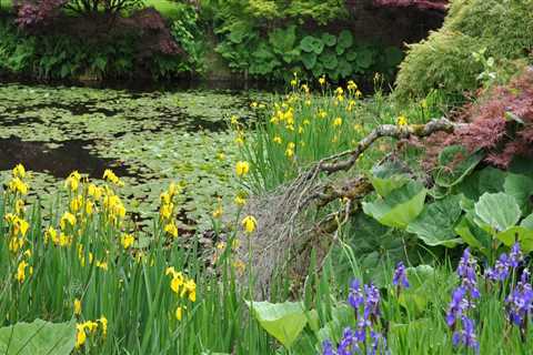 How To Make The Most Of Your Botanical Garden Getaway With A Ten-minute Dove Recipe