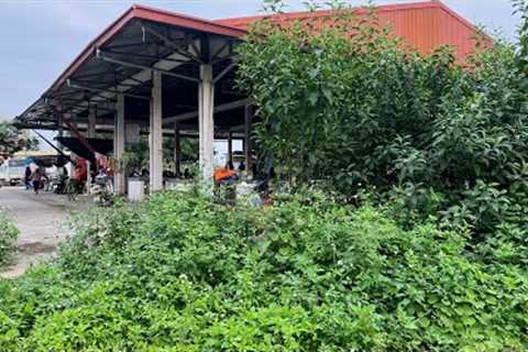 MESSY big MARKET lots garbage and grass has been clean up by us as a CHRISTMAS present for everyone