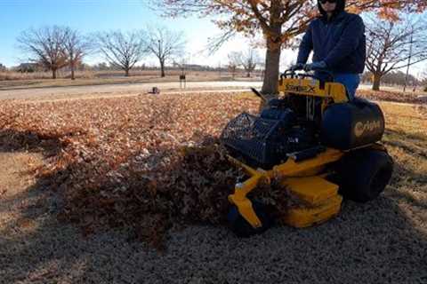 Big Leaf Cleanup and Update On Life!