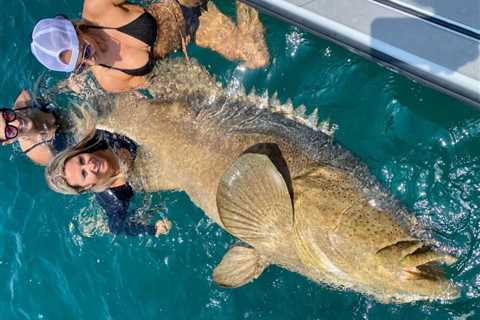 Can You Eat Goliath Grouper? Everything You Need To Know