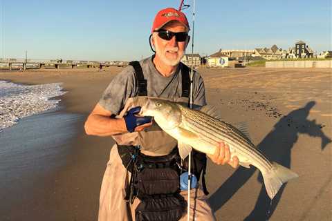 Sand Fleas for Striper Bait