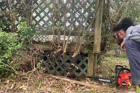 Overgrown Shrubs Take Over Deck (Real Time) Trimming- Lawn Care Biz