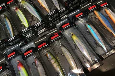 Best Rapala For Bass: A Guide To Selecting Rapala Lures For Bass