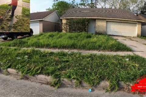 A Subscriber Told Us About This MESSY OVERGROWN yard (big transformation)