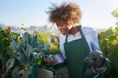 Top 7 Tips For Gardening Care